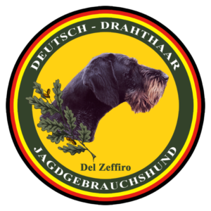 drahthaarzeffiro.it Logo